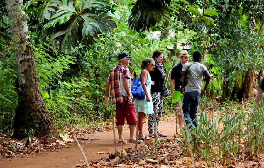 Zanzibar: Jozani Forest and Spice Farm Tour with Transfer - Key points to know before you book