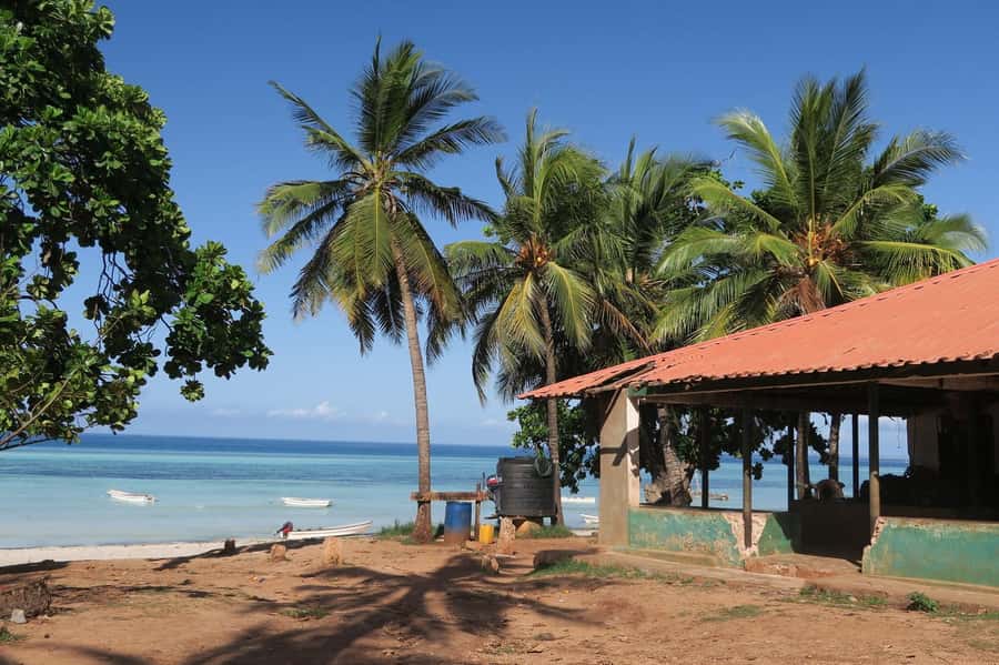 Zanzibar: Jozani Forest and Spice Farm Tour with Transfer - The coconut-palm climbing stop