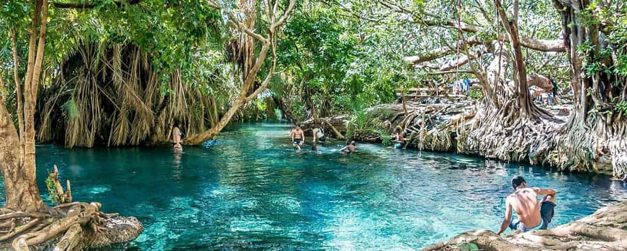 Zanzibar: Jozani Forest and Spice Farm Tour with Transfer - Walking the mangrove boardwalk