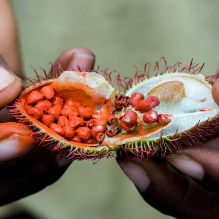 Zanzibar: Jozani Forest, Spice Farms, & Stone Town tour - Stone Town after the farm