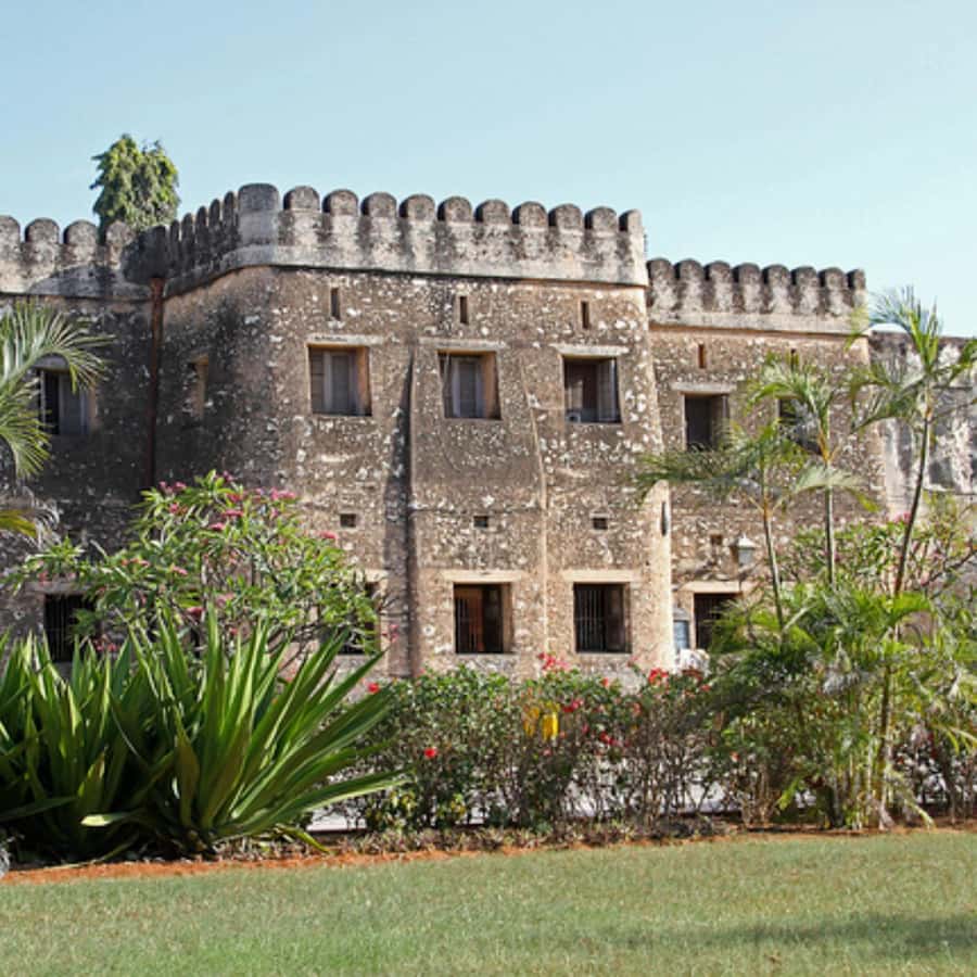 Zanzibar: Jozani Forest, Spice Farms, & Stone Town tour - The value of $135