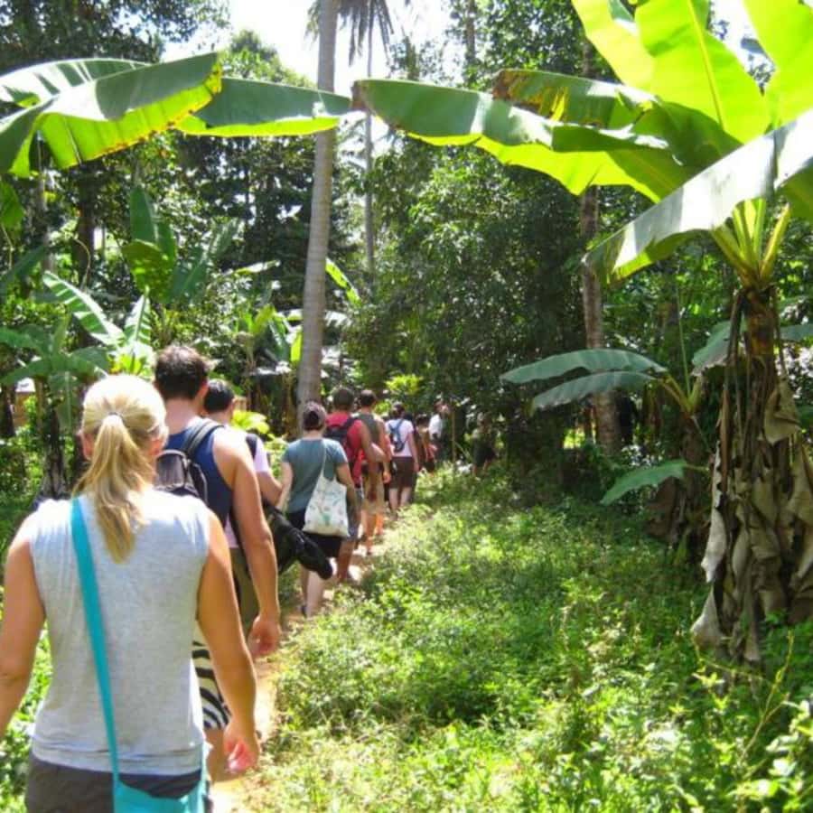 Zanzibar: Jozani Forest, Spice Farms, & Stone Town tour - Guides, languages, and the pace of the day
