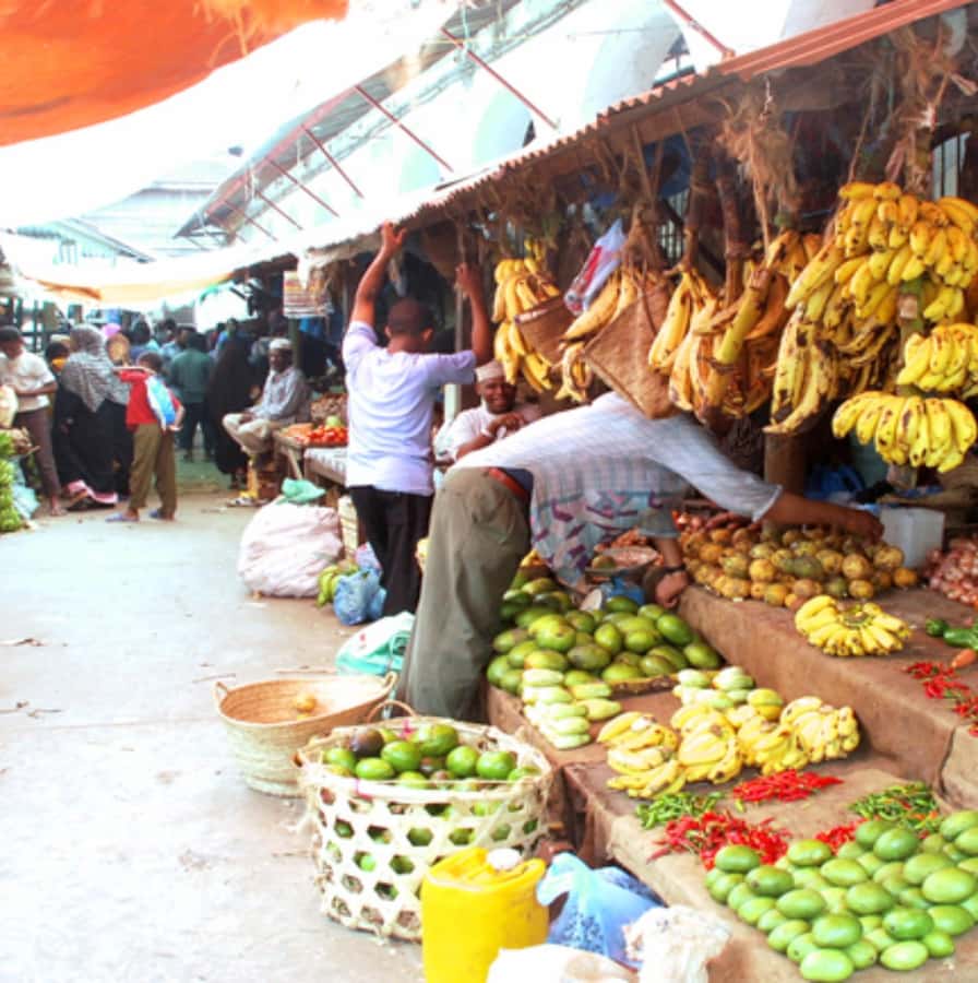 Zanzibar: Jozani Forest, Spice Farms, & Stone Town tour - Should you book it?