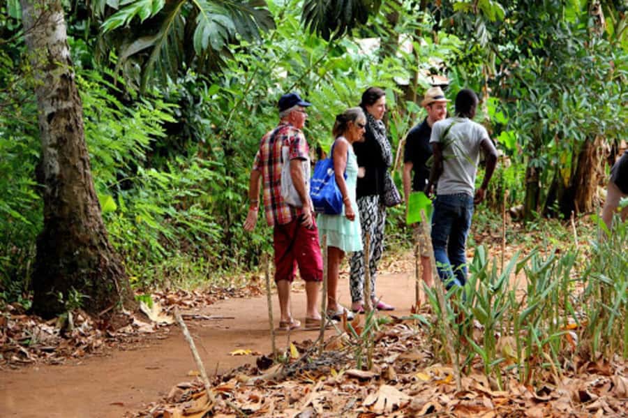 Zanzibar: Jozani forest tour & Spice farm tour with lunch - Why this Zanzibar pairing works