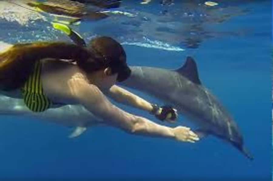 ZANZIBAR: Mnemba island, Baraka aquarium and spice farm - Who will enjoy this tour most