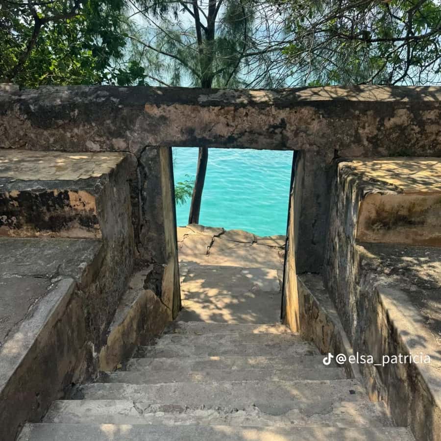 ZANZIBAR: Prison Island, Spice Farm Visit & Turtle Swim Tour - Key points to know before booking