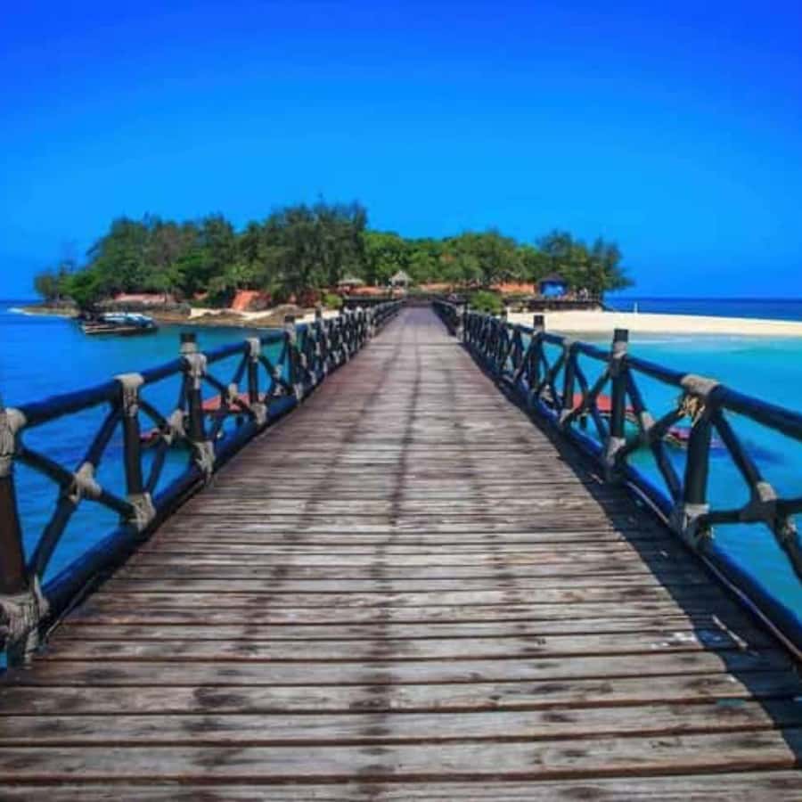 ZANZIBAR: Prison Island, Spice Farm Visit & Turtle Swim Tour - One day, three sides of Zanzibar