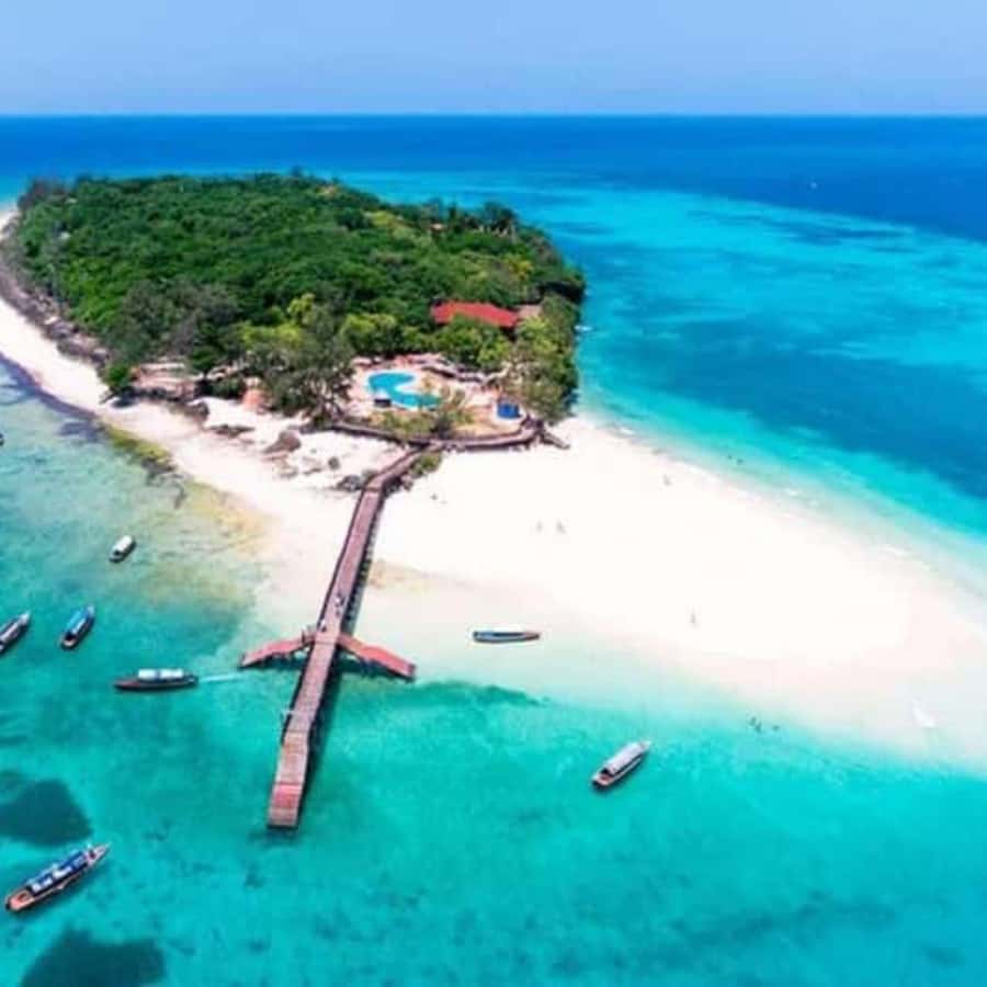 ZANZIBAR: Prison Island, Spice Farm Visit & Turtle Swim Tour - Prison Island and its enormous tortoises