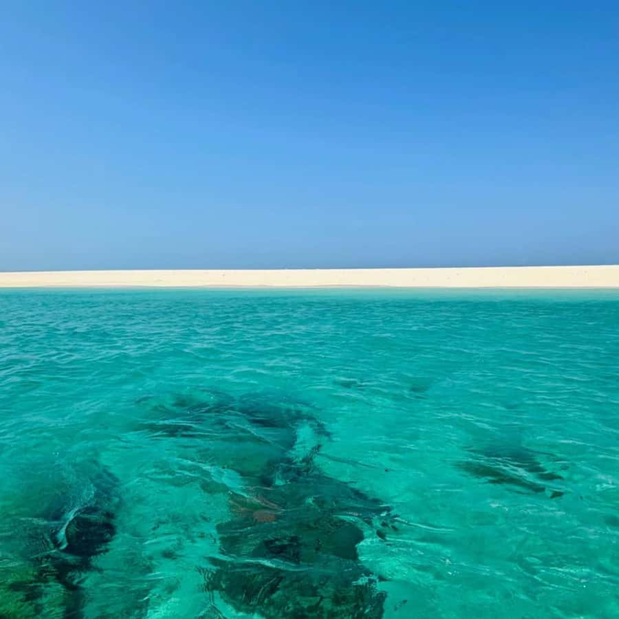 ZANZIBAR: Prison Island, Spice Farm Visit & Turtle Swim Tour - Swimming with turtles at Salaam Cave