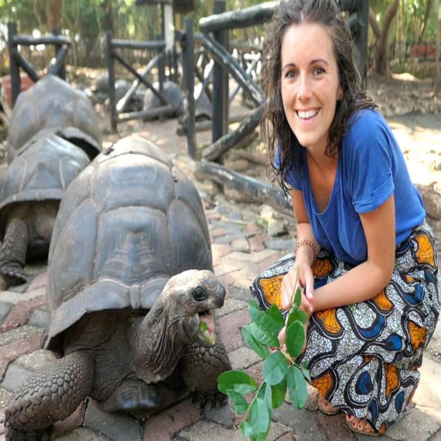 ZANZIBAR: Prison Island, Spice Farm Visit & Turtle Swim Tour - What the $98 price includes