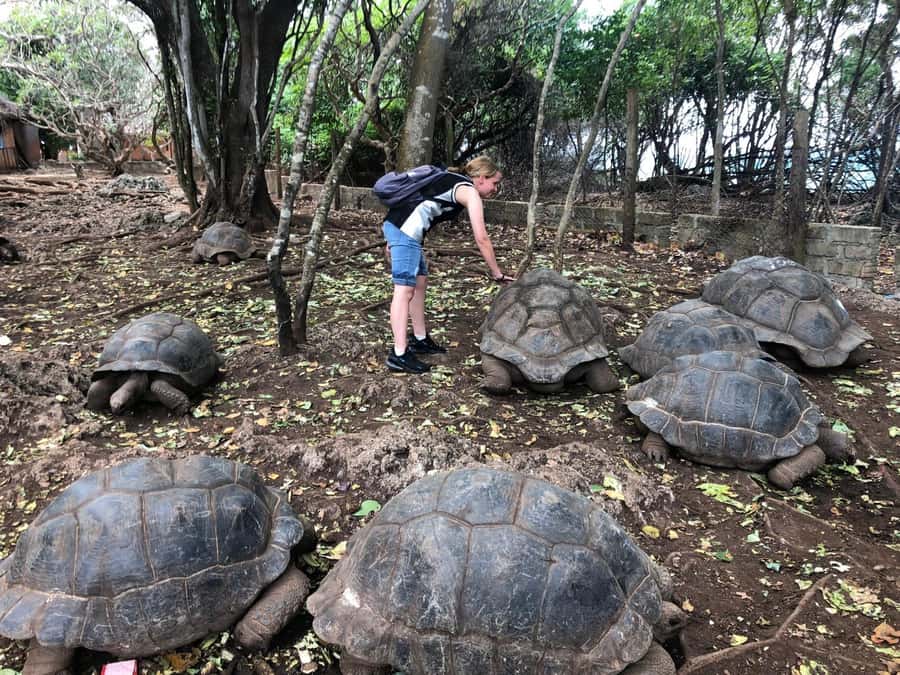 Zanzibar: Prison Island, Stone Town, & Spice Farm Tour - Key things to know before you book