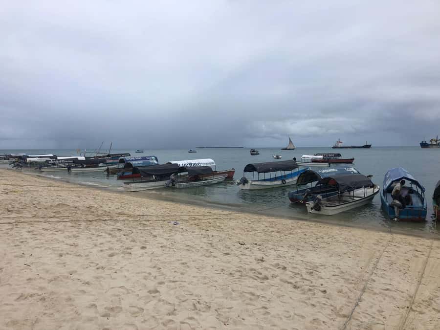 Zanzibar: Prison Island, Stone Town, & Spice Farm Tour - Prison Island and the giant tortoises