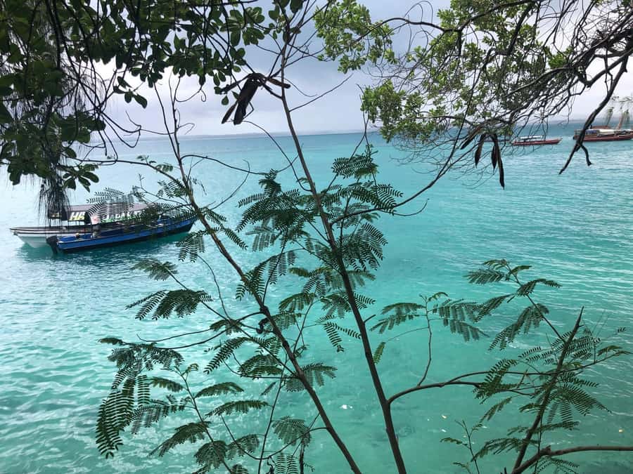 Zanzibar: Prison Island, Stone Town, & Spice Farm Tour - Guides, language, and group style