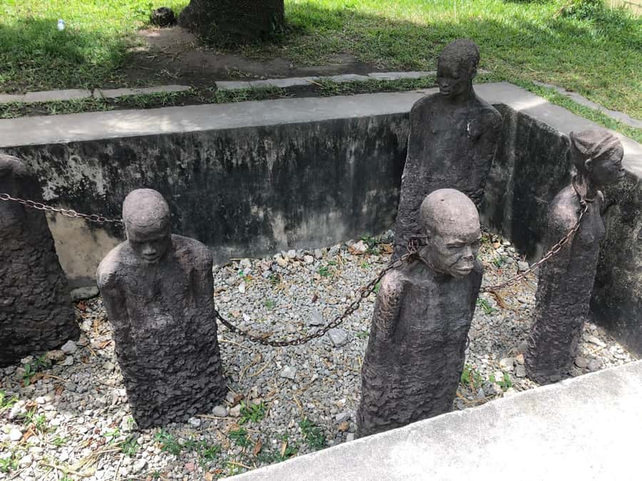 Zanzibar: Prison Island, Stone Town, & Spice Farm Tour - What to bring for a comfortable day