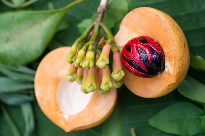 Zanzibar Spice Farm Half-Day Walking Tour - Tasting fruit straight from the farm