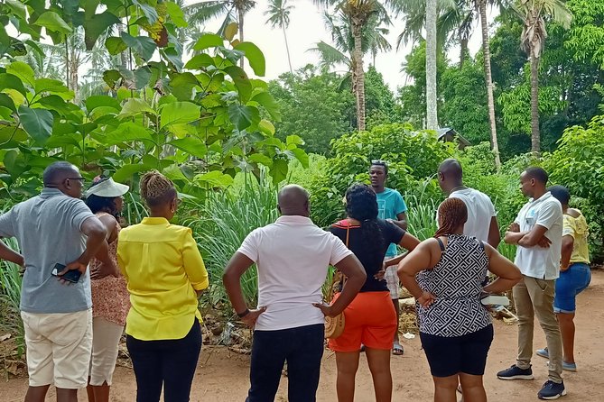 Zanzibar Spice Farm Tour - Small farm touches that make the walk memorable