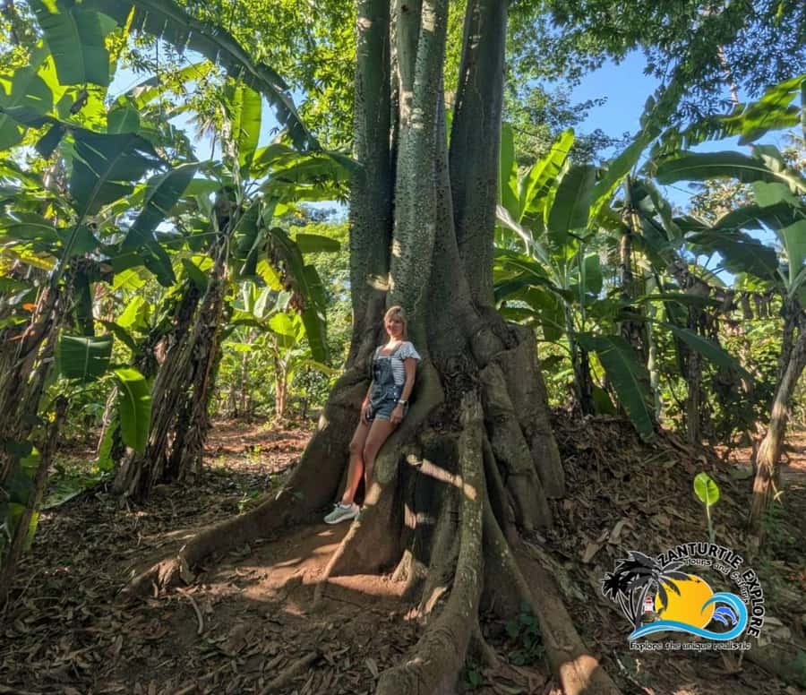 Zanzibar: Spice Farm Tour and Cooking Class with Lunch - Cooking a three-course Swahili meal
