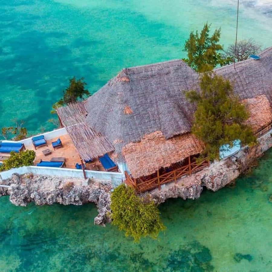 ZANZIBAR: Spice Farm Tour, Jozani Forest & Rock Restaurant - Touching Zanzibar’s spice trade at a private farm