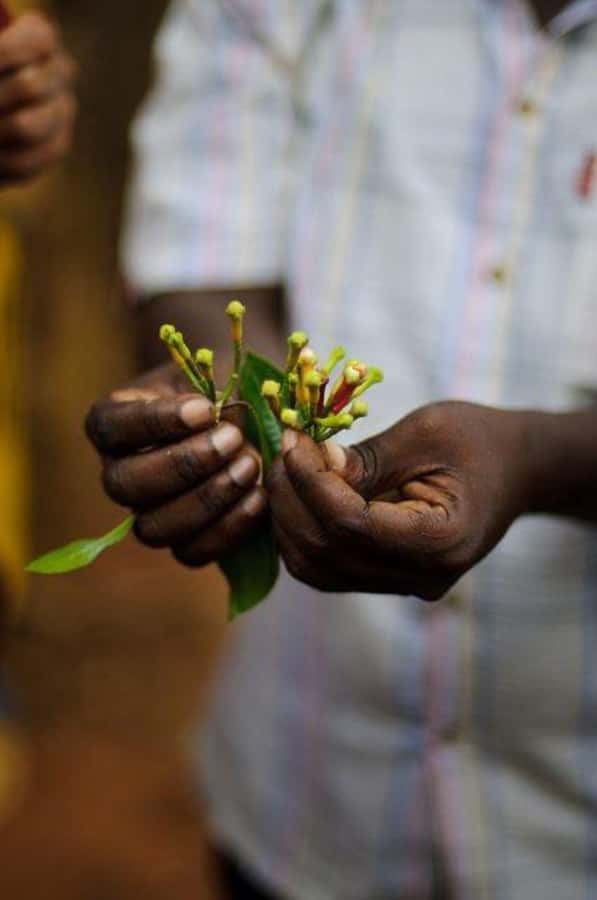 Zanzibar: Spice Farm Tour & Stone Town Adventure - Is $95 per person fair?