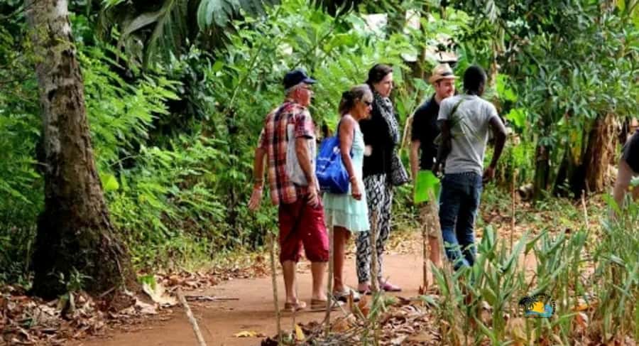 Zanzibar: Spice Farm Tour with Cooking lesson - Darajani Market gives the tour a local beginning