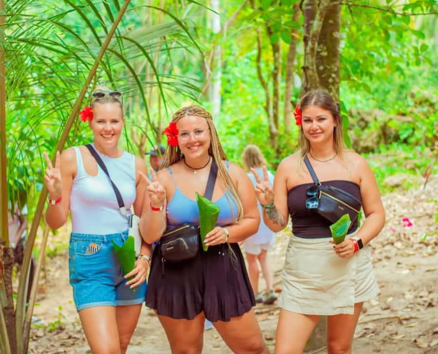 Zanzibar: Spice Farm Tour with free testing fruit and Spice - Should you book the Zanzibar spice farm tour?