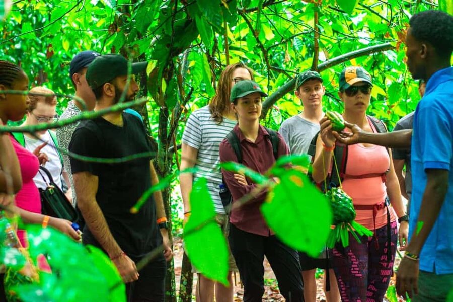 Zanzibar: Spice Farm Tour with Lunch & Tropical Fruits - Why Zanzibar is called the Spice Island