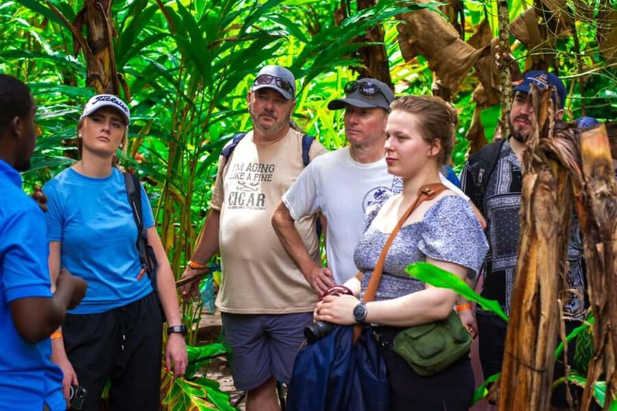 Zanzibar: Spice Farm Tour with Lunch & Tropical Fruits - Neem, the iodine tree, and traditional plant knowledge