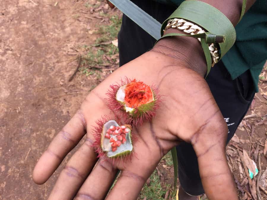 Zanzibar:Stone Town & Spice Farm Private Tour Lunch Included - Key points to know before booking