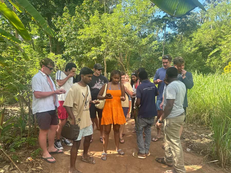 Zanzibar:Stone Town & Spice Farm Private Tour Lunch Included - Tropical fruit and a Swahili lunch
