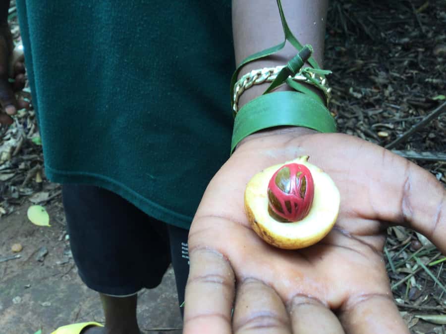 Zanzibar:Stone Town & Spice Farm Private Tour Lunch Included - City Market and the former slave market
