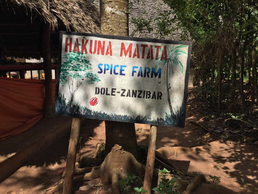 Zanzibar:Stone Town & Spice Farm Private Tour Lunch Included - What to bring and how to pace the day