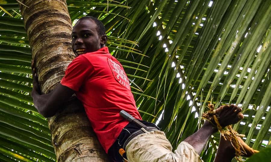 ZANZIBAR, Stone town tour, Prison Island & Spice farm - Reaching Prison Island by boat