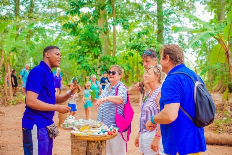 Zanzibar: Walking Spice Farm with Local Cooking Class - Timing, comfort, and practical planning