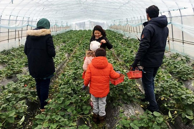 Zhujiajiao Water Town Private Tour with Local Farm Visit and Fruit Picking - The optional canal boat ride